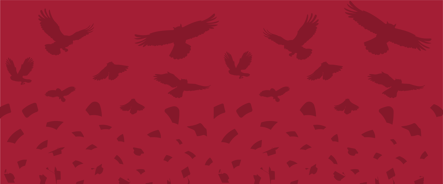 Red cover graphic of grad caps turning into owls