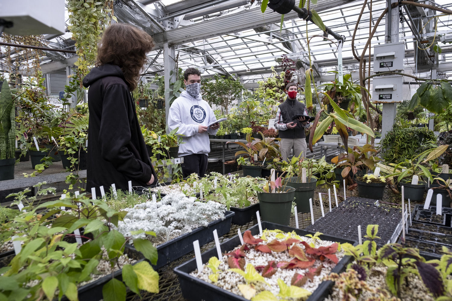 Tyler School of Art and Architecture students in Horticulture Program in Ambler Greenhouse